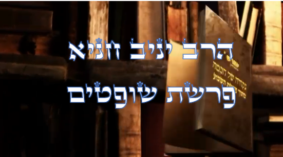 פרשת שופטים.png